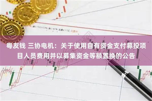 粤友钱 三协电机：关于使用自有资金支付募投项目人员费用并以募集资金等额置换的公告